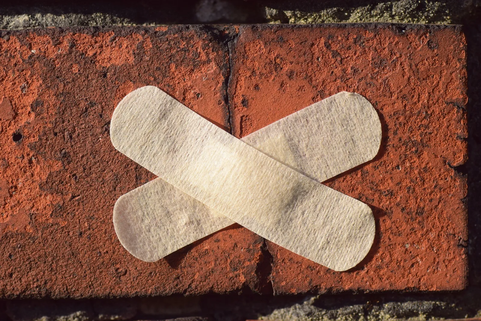 This photo indicates that we can rebuild our lives after ourchildren leave home for good.