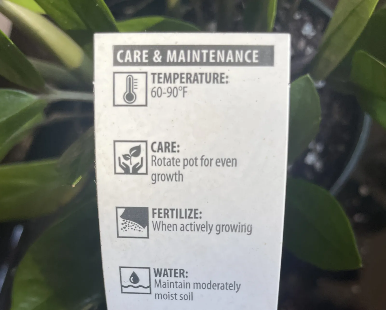 These Care Tags Are Not Always Helpful